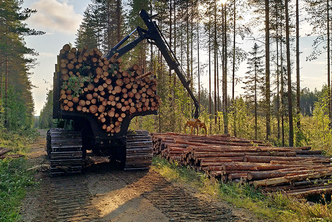 kuormatraktori lastaa kuormaa